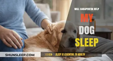 Can Gabapentin Improve Your Dog's Sleep Quality? A Guide