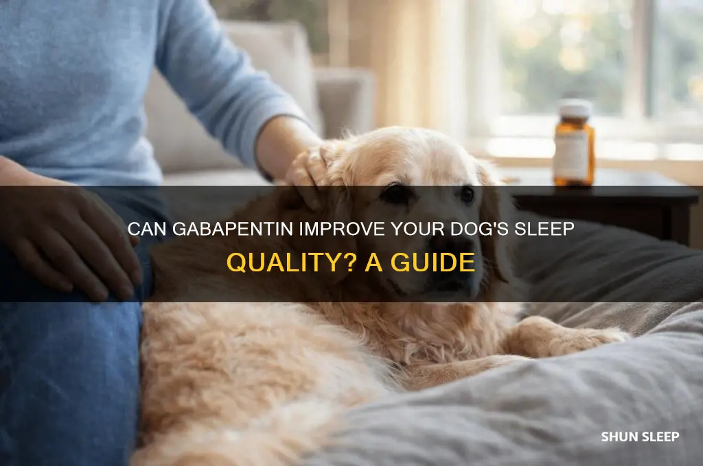 will gabapentin help my dog sleep