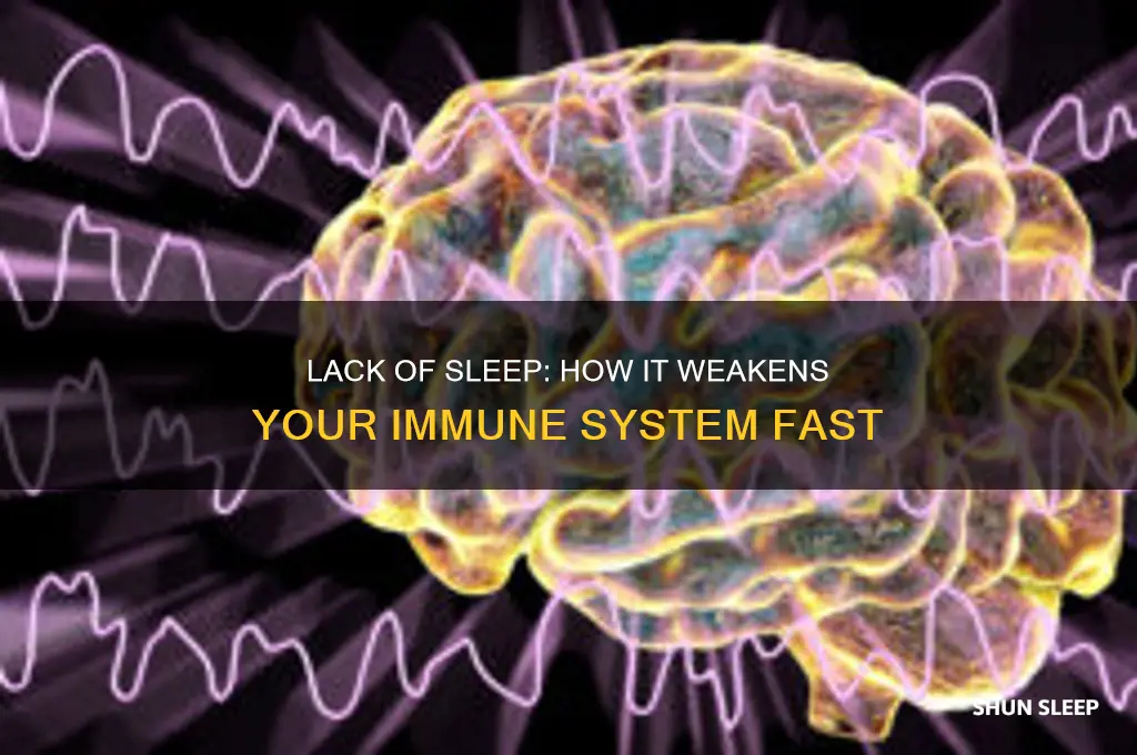will getting lilttle or no sleep lower ur immume system