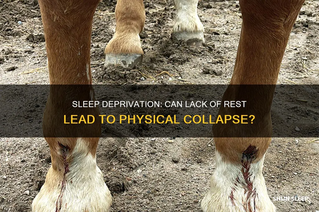 will i collapse if i don get enough sleep