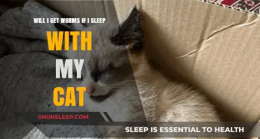 Sleeping with Your Cat: Debunking the Myth of Getting Worms
