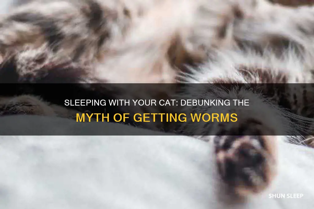 will i get worms if i sleep with my cat
