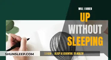 Sobering Up: Sleep or No Sleep?