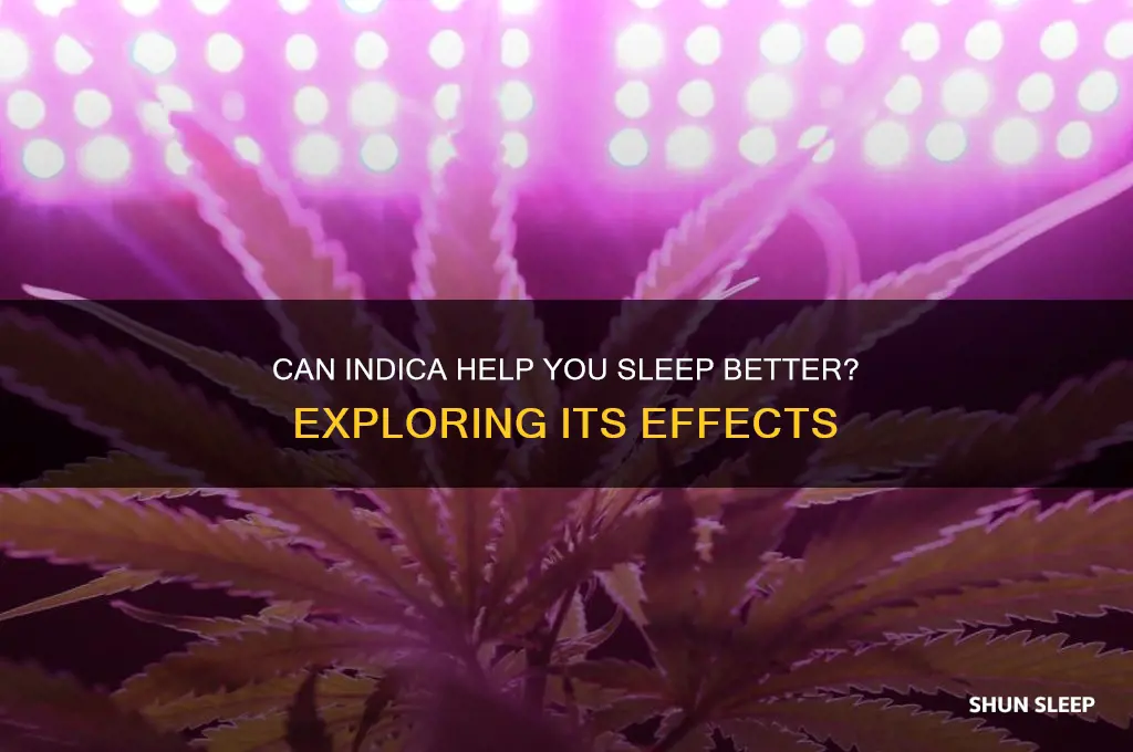 will indica get you to sleep