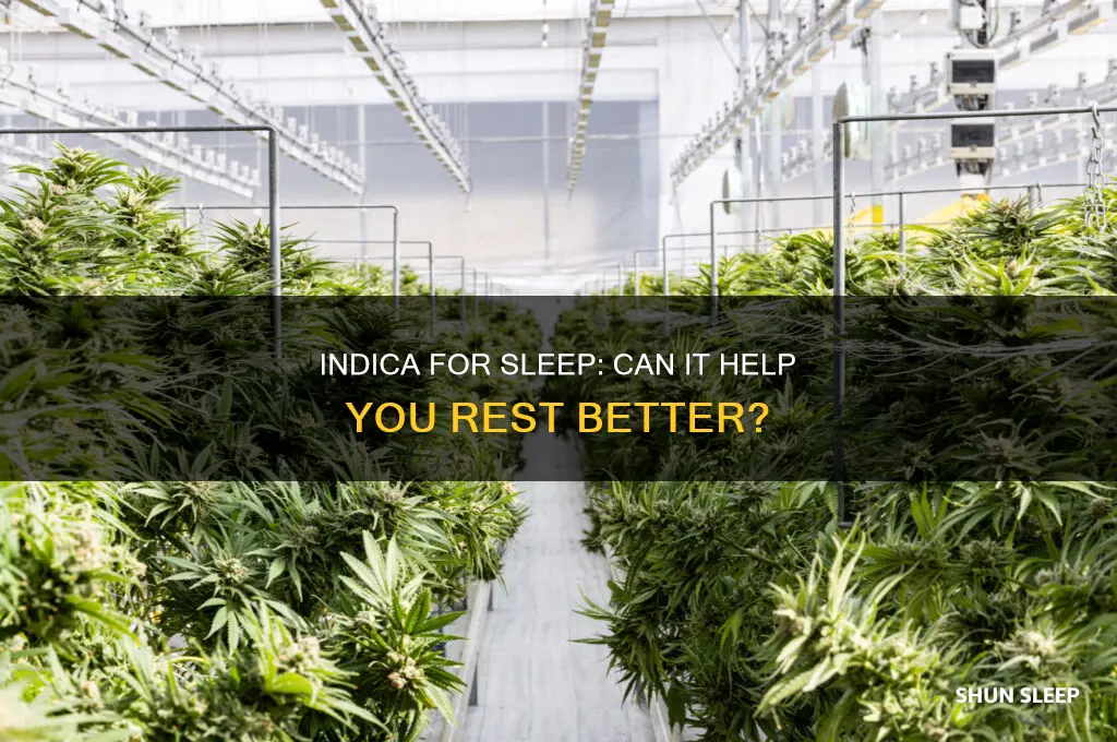 will indica help me sleep