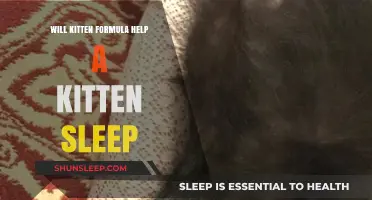 Can Kitten Formula Improve Your Kitten's Sleep Quality?