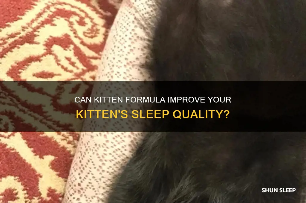 will kitten formula help a kitten sleep