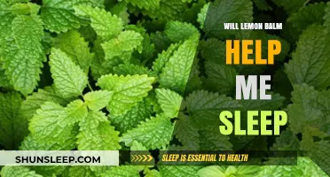 Lemon Balm for Sleep: Natural Remedy or Myth?