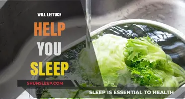 Can Lettuce Improve Sleep Quality? Exploring Its Benefits and Myths