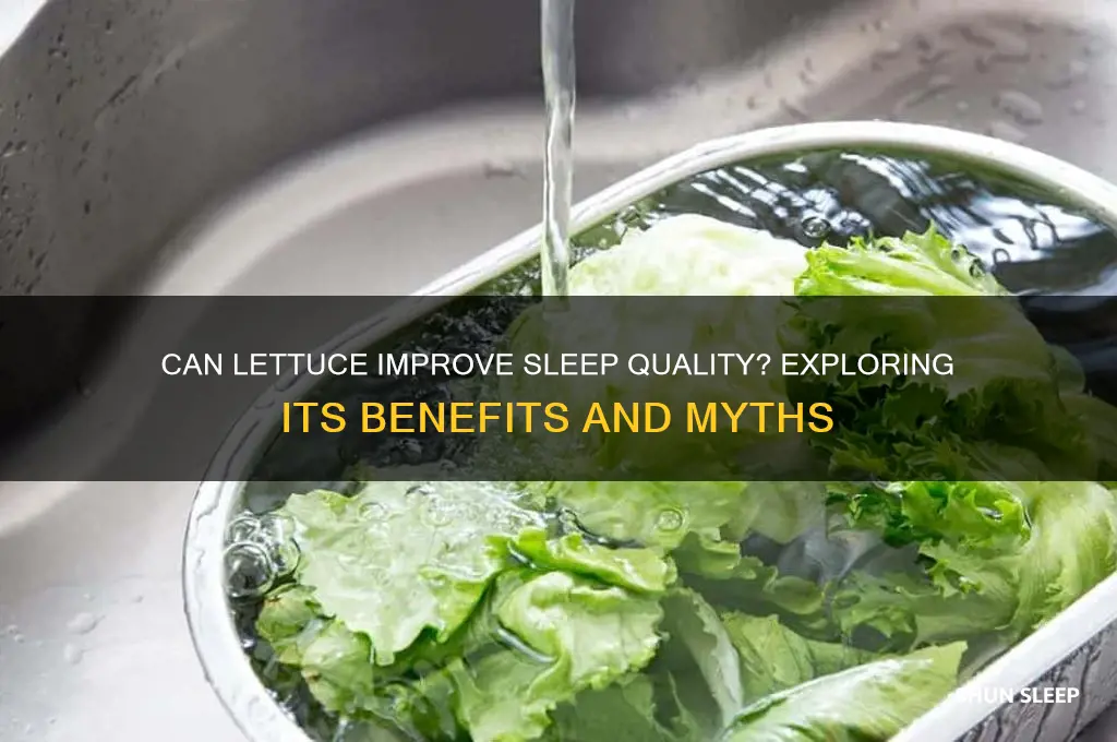 will lettuce help you sleep