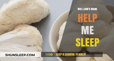 Lion's Mane for Sleep: Can This Mushroom Improve Your Rest?