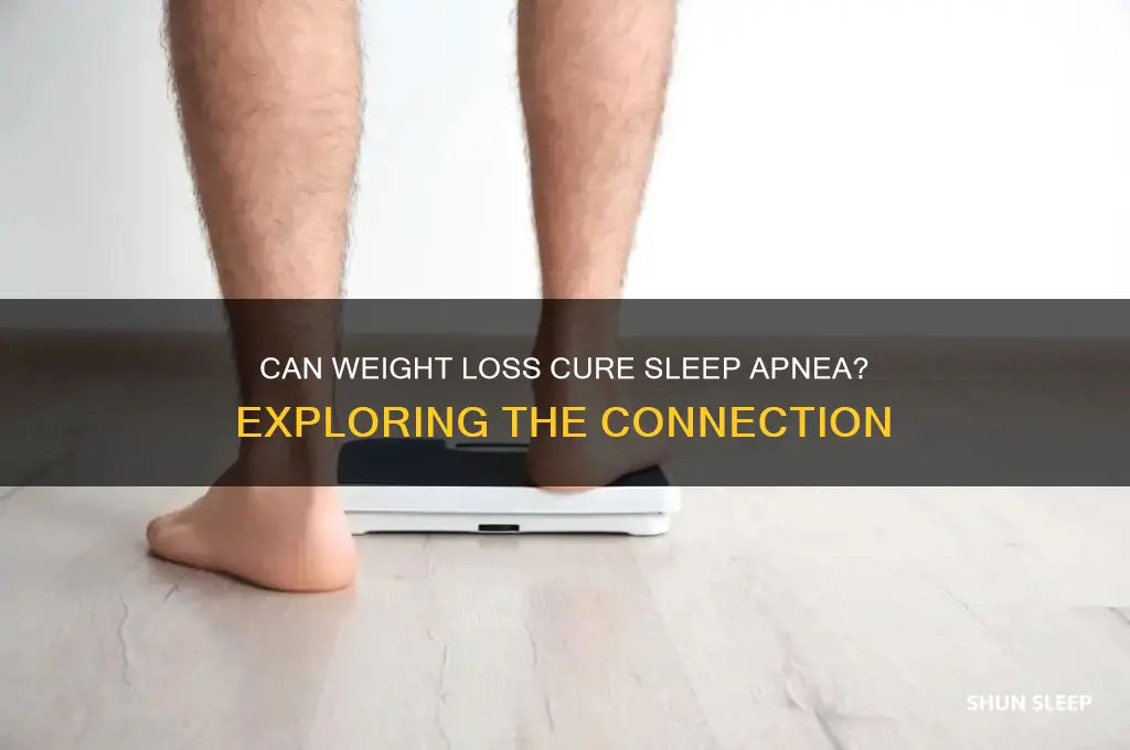 will losing weight get rid of sleep apnea