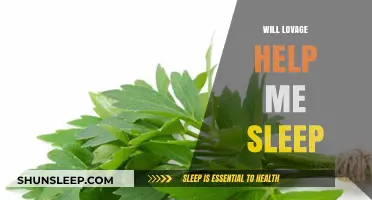 Lovage for Sleep: Can This Herb Improve Your Rest?