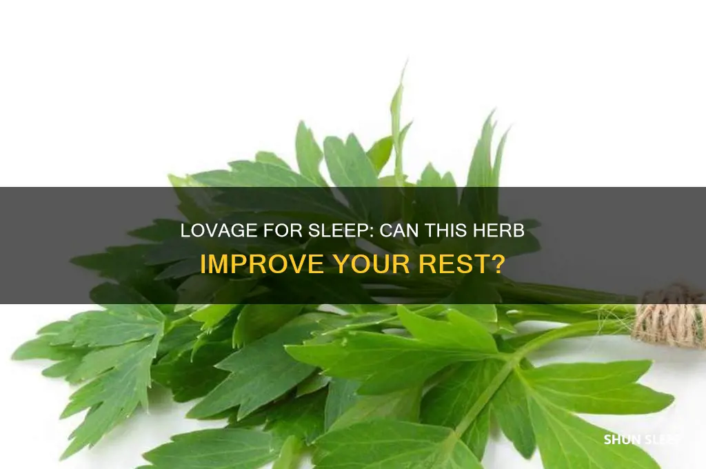 will lovage help me sleep