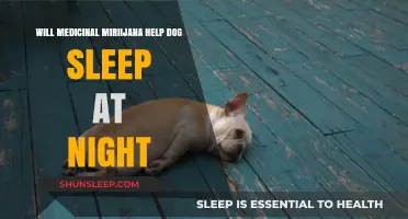 Can Medicinal Marijuana Improve Your Dog's Nighttime Sleep Quality?