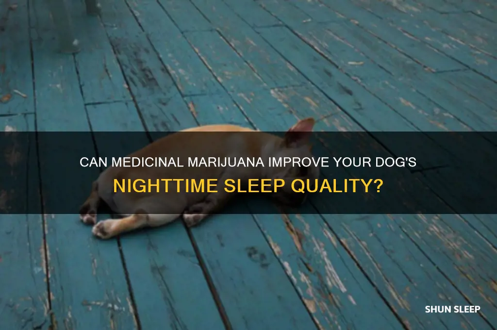 will medicinal miriijana help dog sleep at night