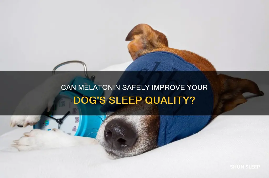 will melatonin help a dog sleep