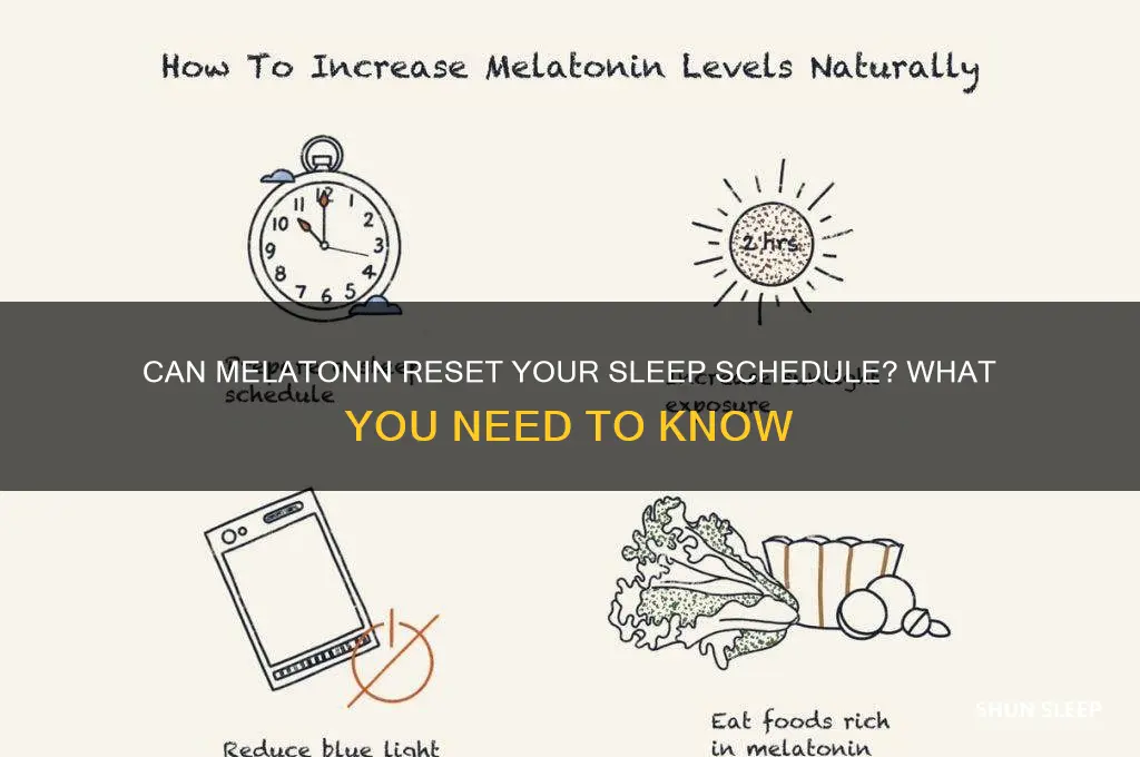 will melatonin help fix my sleep schedule