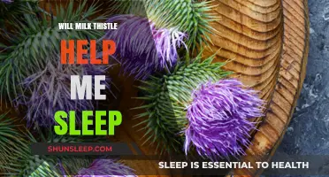 Milk Thistle for Sleep: Benefits, Effectiveness, and How It Works