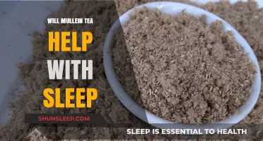 Mullein Tea for Sleep: Natural Remedy or Myth?