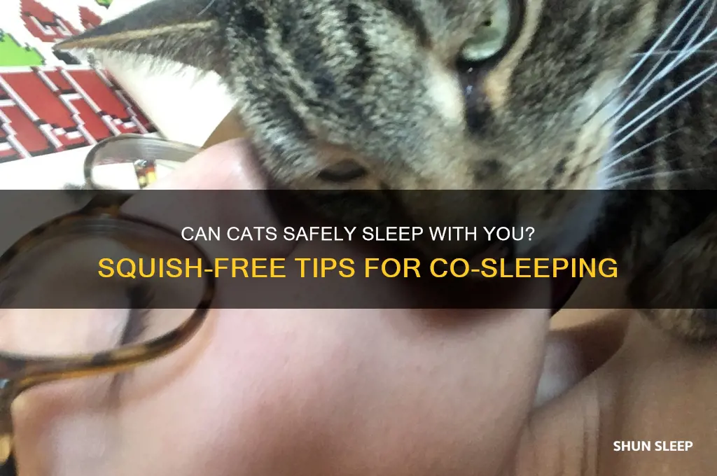 will my cat get squished if he sleeps with me