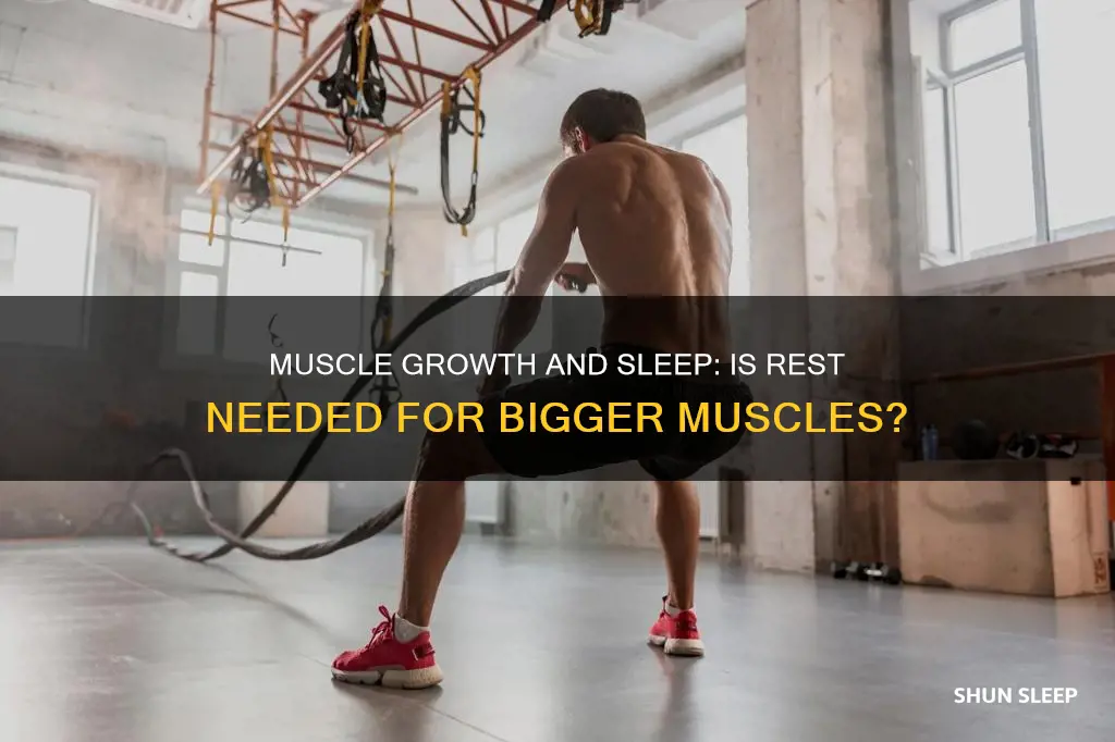 will my muscles grow without sleep