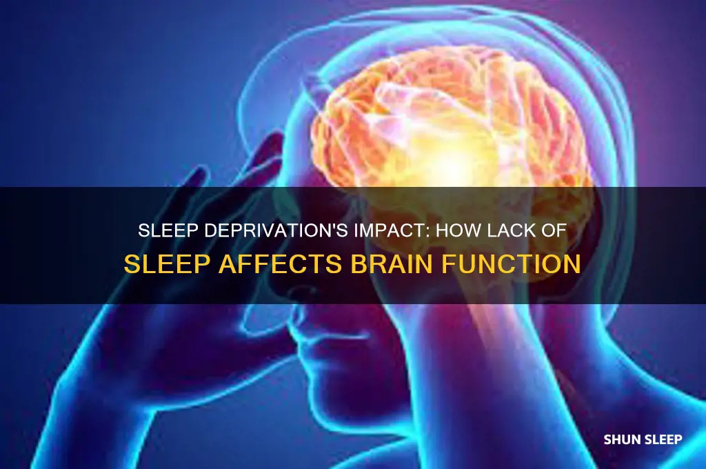 will not getting enough sleep affect your brain