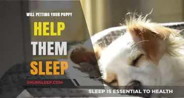 Petting Your Puppy for Better Sleep: A Calming Bedtime Ritual