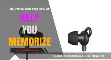 Sleep and Sound: Can Playing Audio Enhance Memory Retention Overnight?