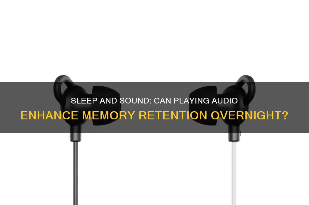 will playing audio when you sleep help you memorize