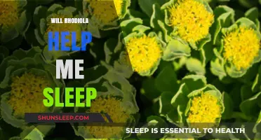 Rhodiola for Sleep: Can This Adaptogen Improve Your Rest?