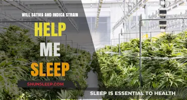 Sativa vs. Indica: Which Strain Helps You Sleep Better?