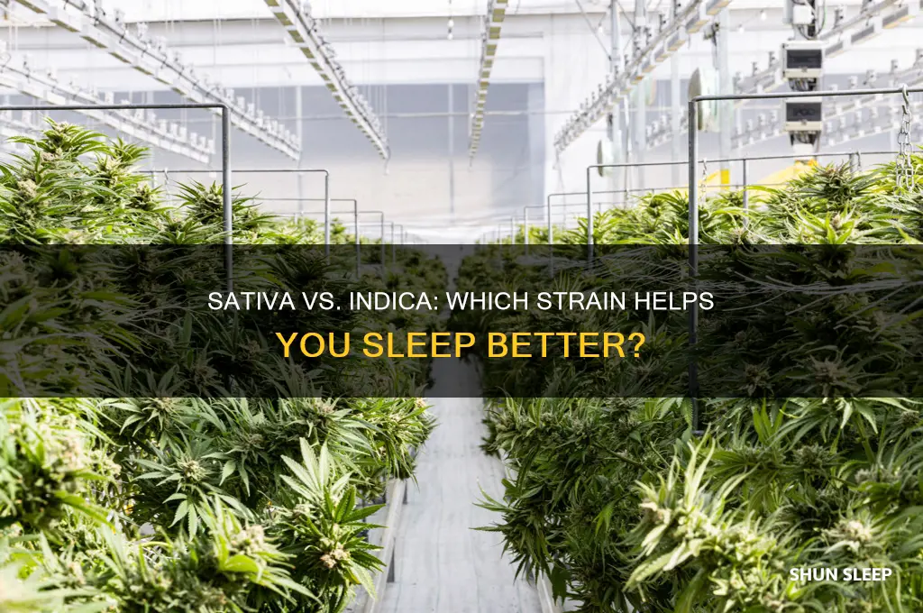 will sativa and indica strain help me sleep