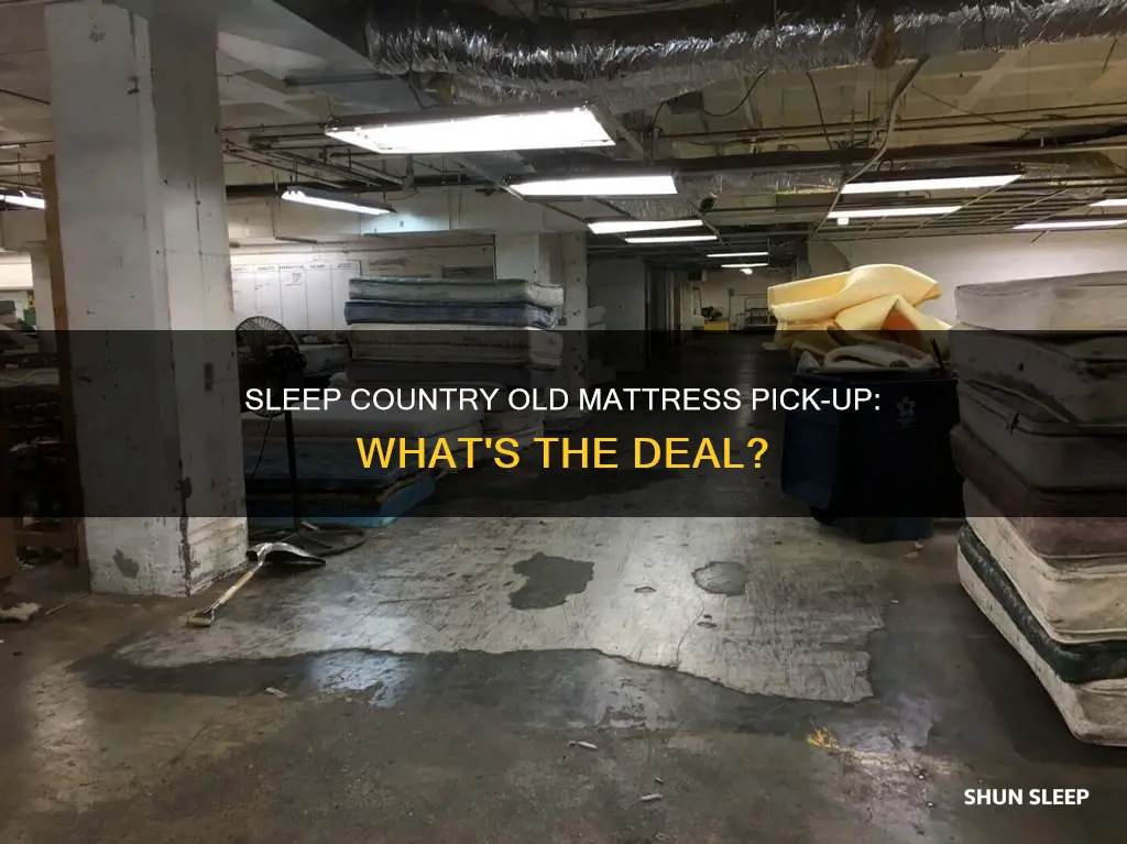 will sleep country pick up your old mattress