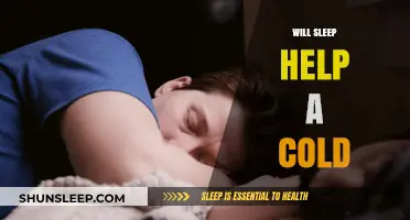 Sleep and Colds: How Rest Can Aid Your Recovery
