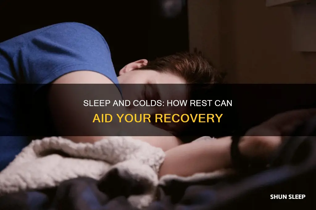 will sleep help a cold