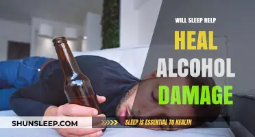 Can Quality Sleep Repair Alcohol-Induced Damage to Your Body?