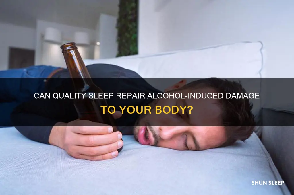 will sleep help heal alcohol damage