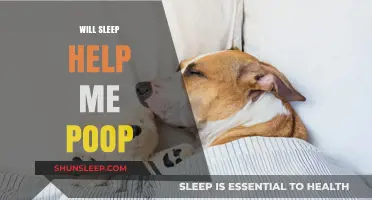 Sleep and Digestion: How Rest Impacts Regular Bowel Movements