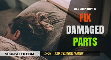 Can Sleep Repair Damaged Parts? Unlocking the Healing Power of Rest