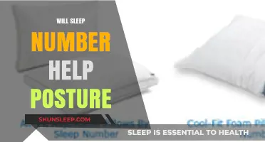 Can Sleep Number Beds Improve Your Posture and Spinal Alignment?