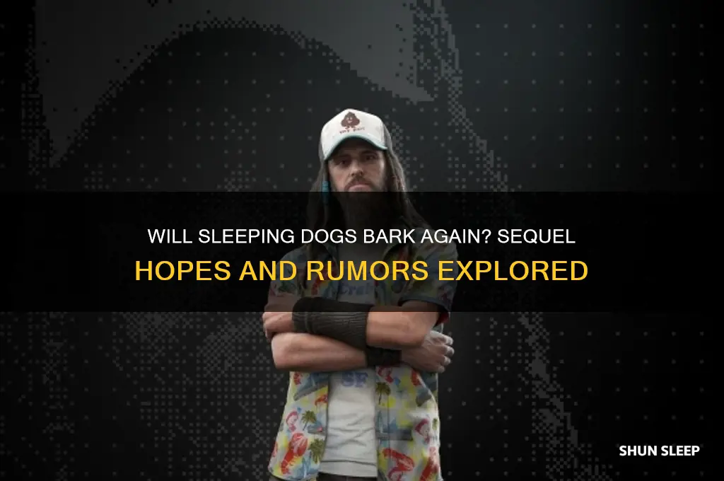will sleeping dogs ever get a sequal
