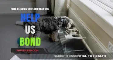 Sleeping on the Floor Near Your Dog: Bonding Benefits Explored