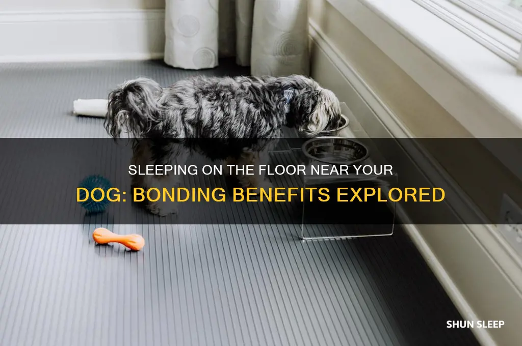 will sleeping on floor near dog help us bond