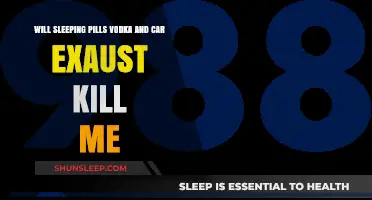 Can You Die from Sleeping Pills, Vodka, and Car Exhaust?