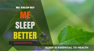 Can Skullcap Improve Sleep Quality? Exploring Its Benefits and Effectiveness