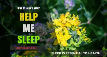 Can St. John's Wort Improve Sleep Quality? Exploring Its Benefits