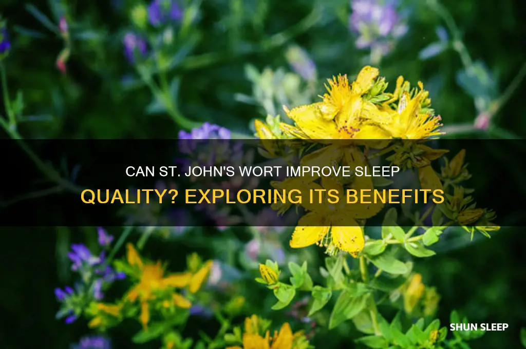 will st john