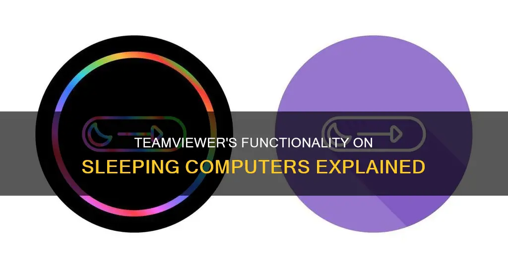 will teamveiwer work when the computer in sleeping