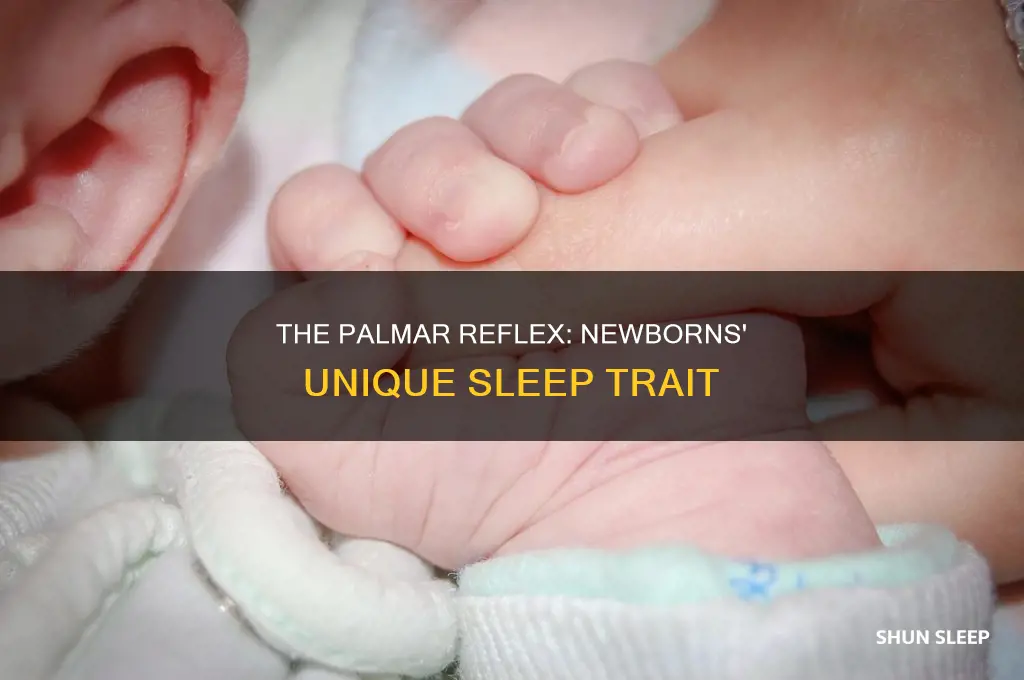 will the newborn palmar reflex works while they sleep